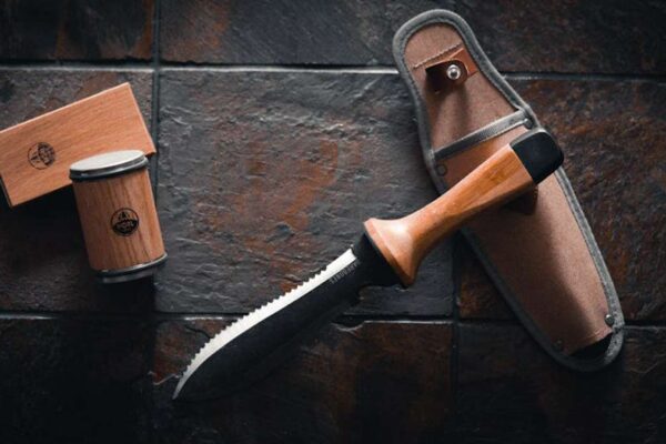 Free vs. Paid [Software Category]: Is the Upgrade Worth the Cost?