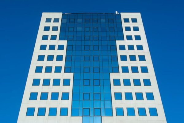 Top Alternatives to [Widely Used Software] (e.g., Microsoft Excel, Adobe Photoshop)