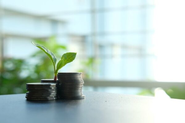 The Ultimate Guide to Starting a Profitable Blog (Step-by-Step)