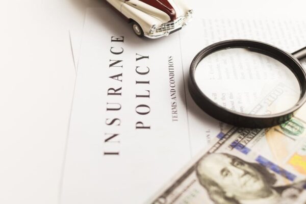The Ultimate Guide to Understanding Your Insurance Policy Documents.