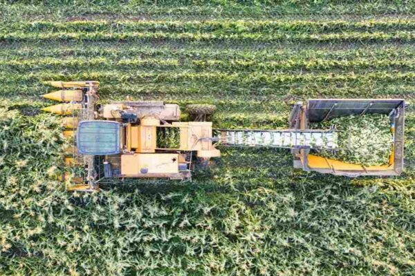 Roth IRA vs. Traditional IRA: Which Retirement Account Is Right for You?