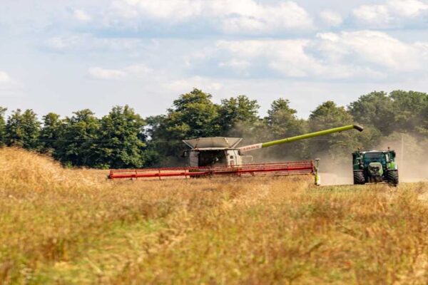 Building Your Minimum Viable Product (MVP): Step-by-Step for New Founders