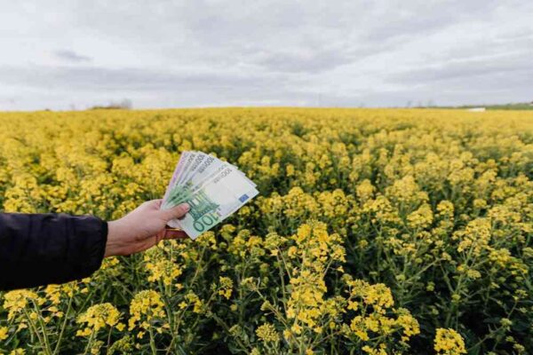 10 Evergreen Passive Income Ideas You Can Start Today