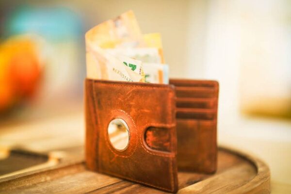 Comparing universal life insurance indexed options for wealth accumulation vs. guaranteed cash value growth. - Featured Image