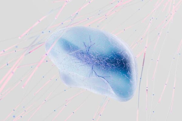 Implementing an AI-augmented "Second Brain" system for knowledge workers to triple information recall. - Featured Image