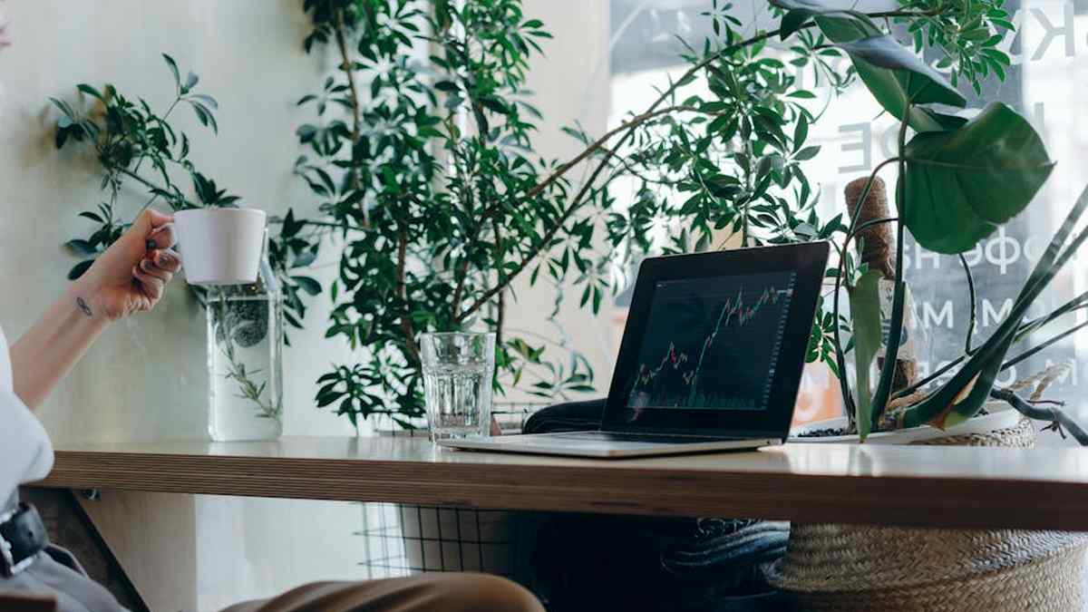 Maximizing affiliate marketing revenue from US-based comparison shopping engines. - Featured Image