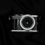 Micro Four Thirds Cameras for Wildlife Photography: Telephoto Lens Options - Featured Image