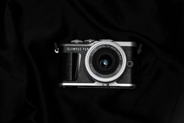 Micro Four Thirds Cameras for Wildlife Photography: Telephoto Lens Options - Featured Image