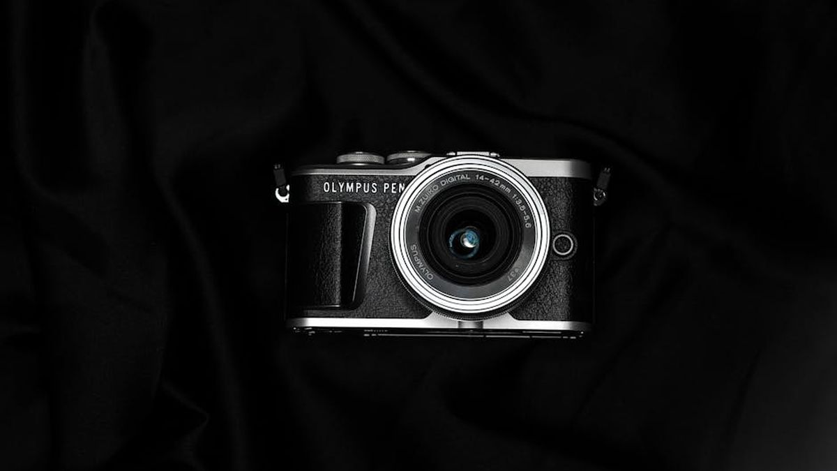 Micro Four Thirds Cameras for Wildlife Photography: Telephoto Lens Options - Featured Image