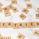 Salesforce Sales Cloud Enterprise vs. Microsoft Dynamics 365 Sales: ROI for Mid-Market B2B Companies in the US. - Featured Image