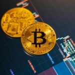 The entrepreneur's roadmap to structuring a Family Limited Partnership (FLP) for asset protection. - Featured Image